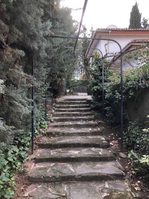 Estupenda Villa Con Piscina 5 Minutos Centro Granada Prohibido Fiestas エクステリア 写真